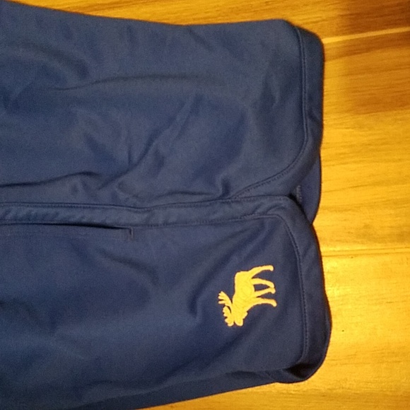 Abercrombie and Fitch active shorts - Picture 4 of 5